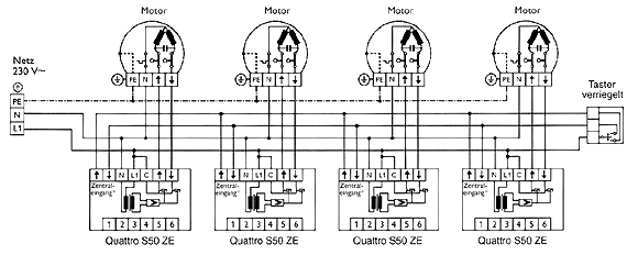 quattrozeparallel.gif
