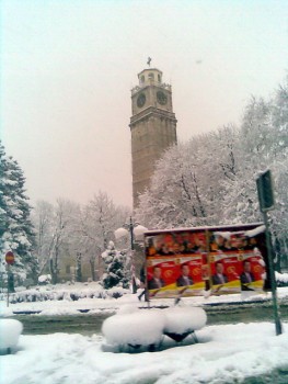 Image127-1.jpg