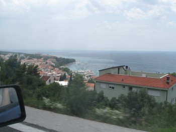 IMG_0528.jpg