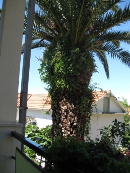 IMG_0546.jpg