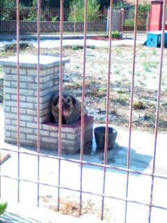 Slika 0041.jpg