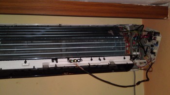 15062010276.jpg