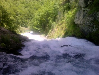Slika_3247.jpg