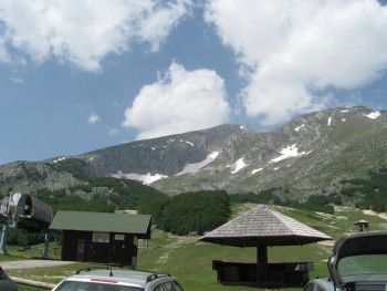 IMG_2006.jpg