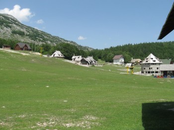 IMG_2011.jpg