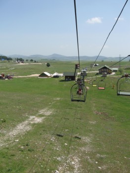 IMG_2014.jpg