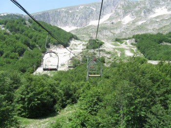 IMG_2015.jpg