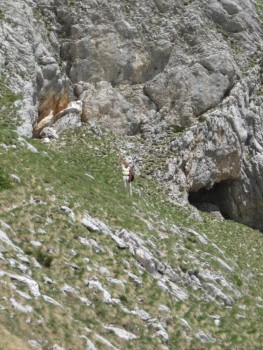 IMG_2023.jpg