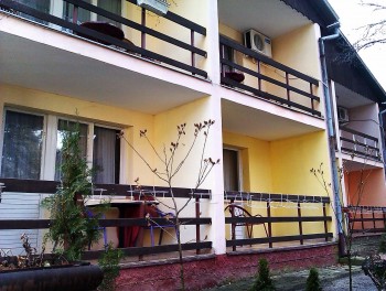 p10.jpg