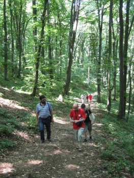 IMG_4788.jpg