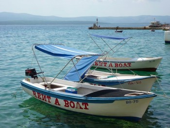 RENT Brac-Bol.jpg