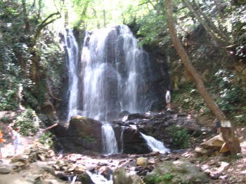 IMG_0587.JPG