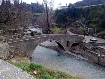 Ribnica_1.jpg