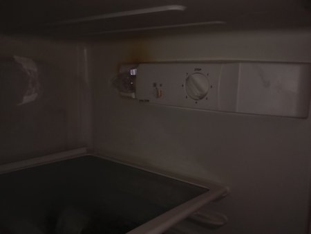 DSC_0113.jpg