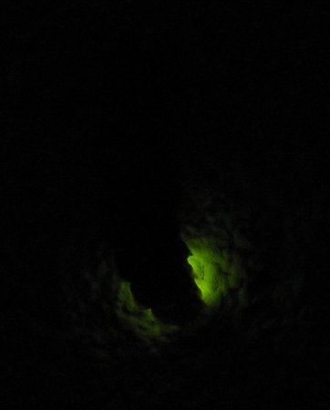 IMG_0305.jpg