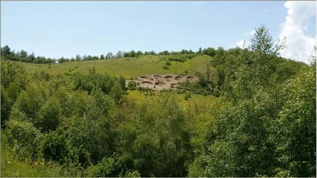 Hadjic brdo -Borovnjak.jpg