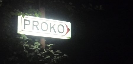 proko.jpg