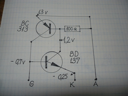 P1020539.JPG