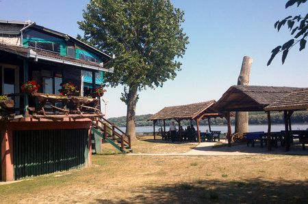 Backa Palanka_carda Florida.jpg