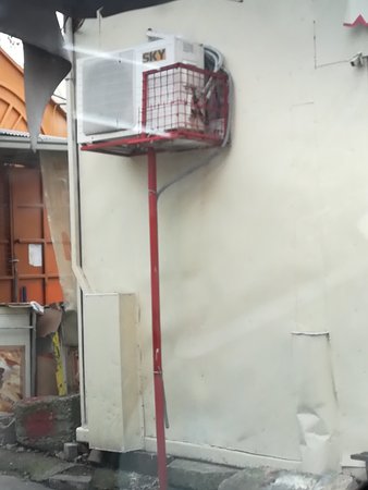 IMG_20190208_124707.jpg
