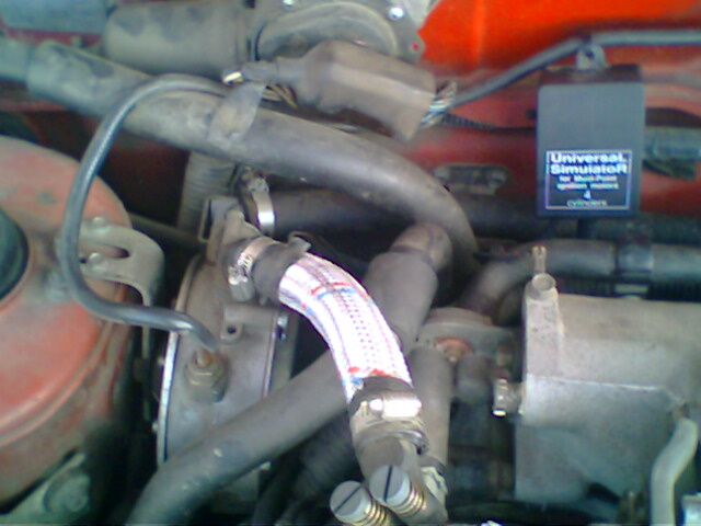 IMG0012A.jpg