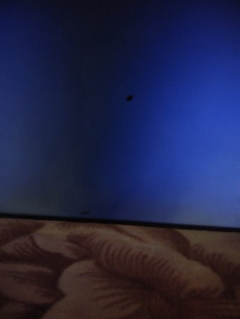 IMG_20221212_205022.jpg