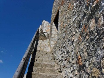 IMG_0813.jpg