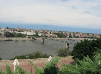 81.jpg