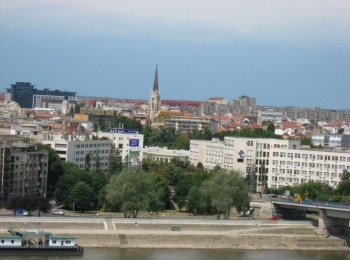 84.jpg